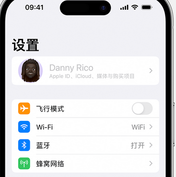 镇平appleID维修服务iPhone设置中Apple ID显示为灰色无法使用