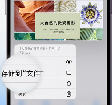 镇平apple维修中心分享iPhone文件应用中存储和找到下载文件