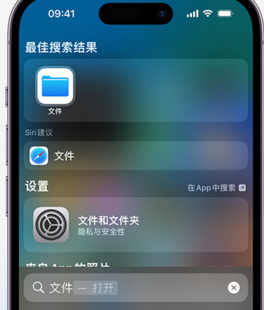 镇平apple维修中心分享iPhone文件应用中存储和找到下载文件 