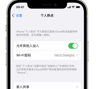 镇平apple服务站点分享iPhone上个人热点丢失了怎么办 