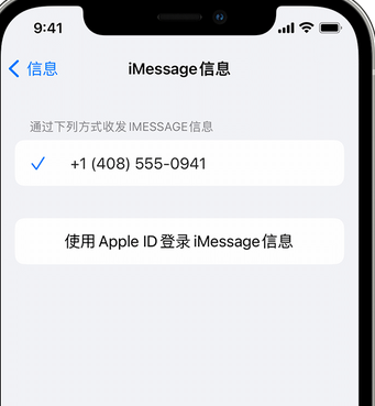 镇平apple维修iPhone上无法正常发送iMessage信息 