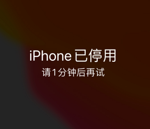 镇平苹果手机维修分享:iPhone 显示“不可用”或“已停用”怎么办？还能保留数据吗？ 