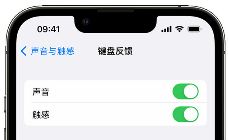 镇平苹果手机维修分享iPhone 14触感键盘使用方法 