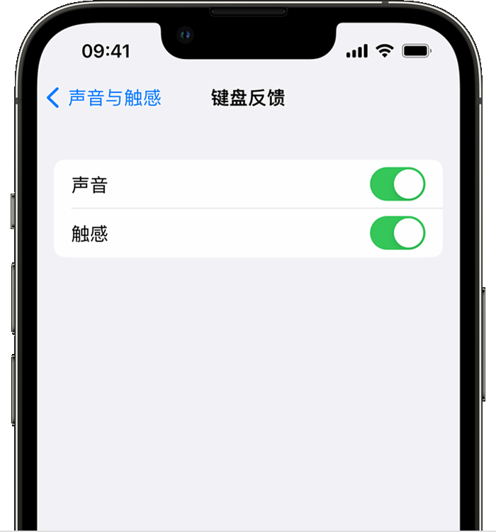 镇平苹果14维修店分享如何在 iPhone 14 机型中使用触感键盘 