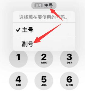 镇平苹果14维修店分享iPhone 14 Pro Max使用副卡打电话的方法 