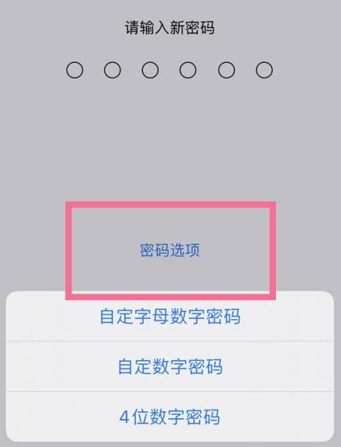 镇平苹果14维修分享iPhone 14plus设置密码的方法 