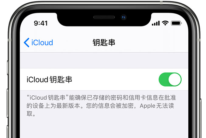 镇平苹果手机维修分享在 iPhone 上开启 iCloud 钥匙串之后会储存哪些信息 