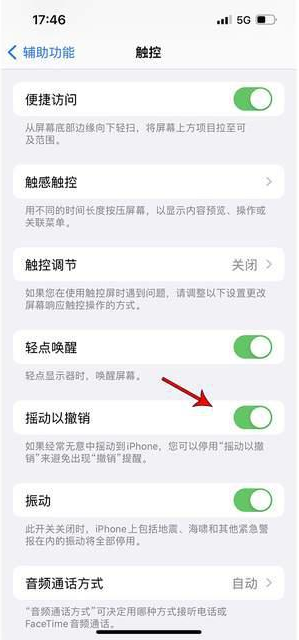 镇平苹果手机维修分享iPhone手机如何设置摇一摇删除文字 