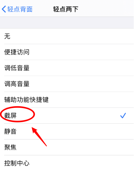 镇平苹果手机维修分享iPhone12如何启用双击截屏 