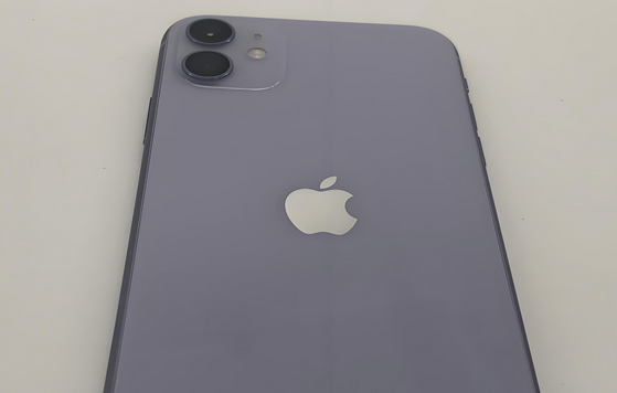 镇平苹果11系统维修分享iPhone11手机系统崩溃无法开机如何解决 